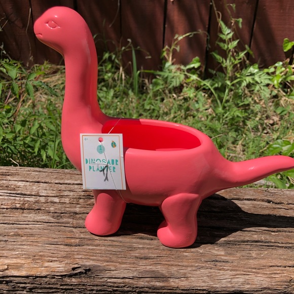 Target Other - Mini dinosaur planter
